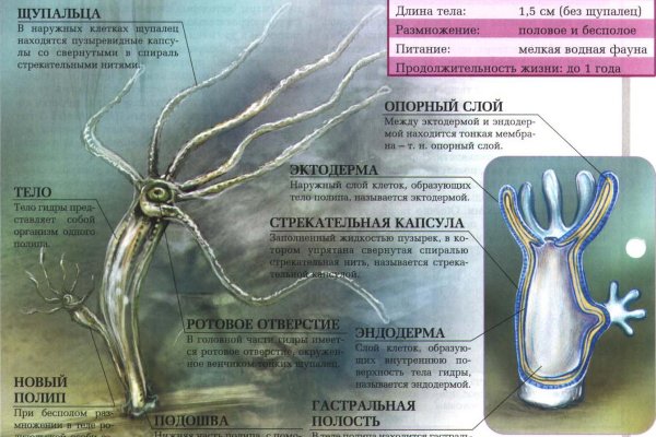 Kraken ссылка сайт kraken clear com