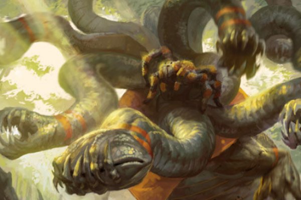 Kraken krn