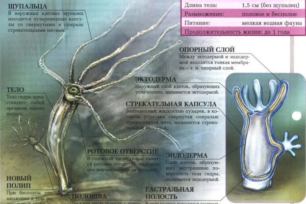 Даркнет зеркало