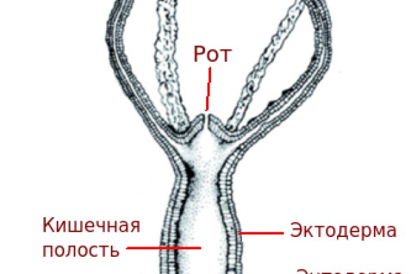 Что продают на сайте кракен